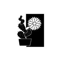 Madeira, Sukkulenten und anderes 